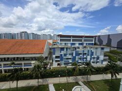 Blk 243 Pasir Ris Street 21 (Pasir Ris), HDB Executive #447265641